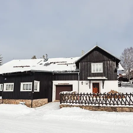 Apartment Cerny Vlk, *