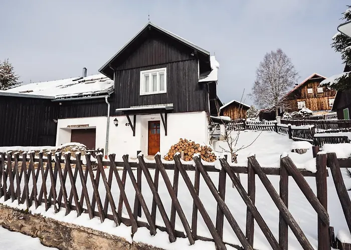 Apartamento černý Vlk, Kvilda
