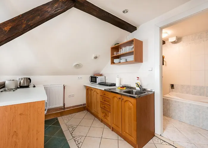 Apartamento černý Vlk, *
